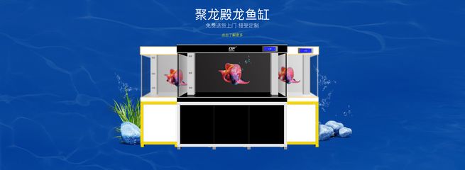 龍魚商城網(wǎng)站登錄，龍魚商城app使用教程：龍魚商城app使用教程 龍魚百科 第4張