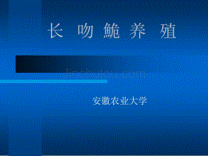 粗線銀板魚(yú)苗的日常護(hù)理技巧，粗線銀板魚(yú)的日常護(hù)理技巧