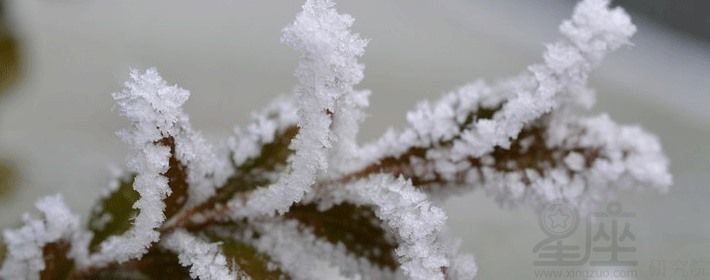 不同顏色魚催財(cái)效果，錦鯉招財(cái)?shù)娘L(fēng)水講究金魚催財(cái)擺放位置青色魚在風(fēng)水中的作用 觀賞魚市場(chǎng)（混養(yǎng)魚） 第2張