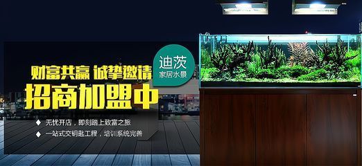 祥龍水族館加盟優(yōu)勢分析，祥龍水族館加盟條件詳解