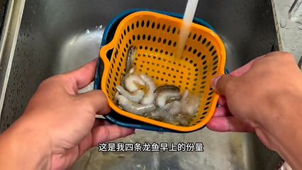 龍魚吃凍蝦怎么解凍快，翻拌三分鐘蝦怎么做？