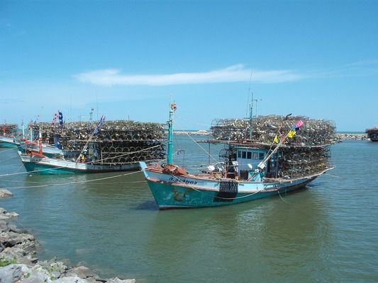 龍魚燈什么牌子最好最安全，十大魚缸燈品牌龍魚燈品牌排行榜馬印神燈用戶評價 龍魚百科 第1張