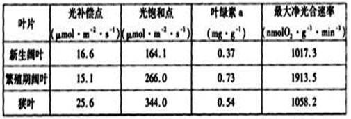 繁殖期飼料新鮮度檢測方法，繁殖期飼料新鮮度檢測方法：畜禽肉新鮮度檢測方法