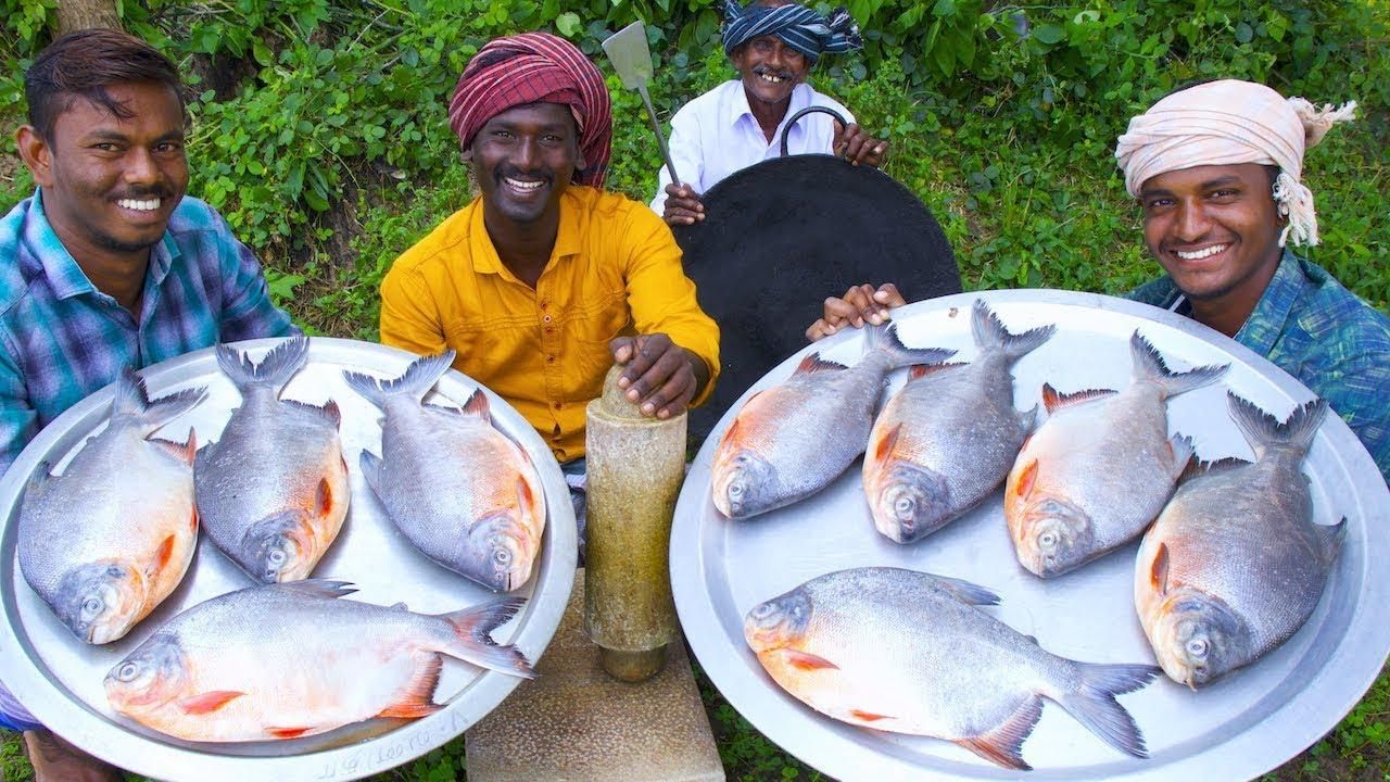 埃及魚適宜水溫范圍，埃及神仙魚最佳養(yǎng)殖水溫 觀賞魚市場(chǎng)（混養(yǎng)魚） 第3張