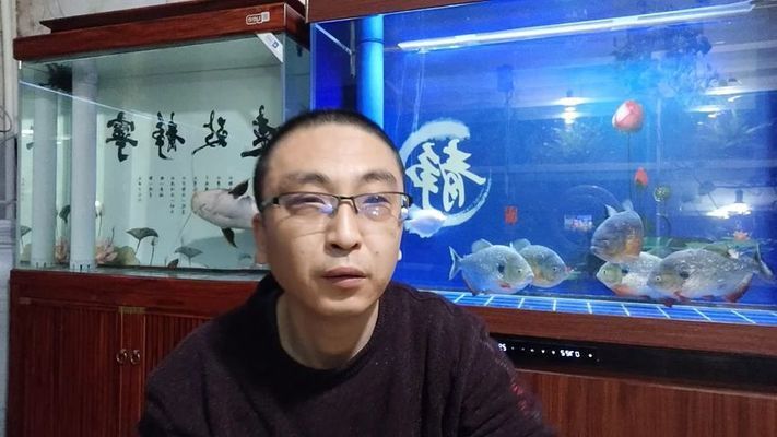 觀賞魚混養(yǎng)常見問題，如何選擇混養(yǎng)觀賞魚種類 觀賞魚市場（混養(yǎng)魚） 第4張