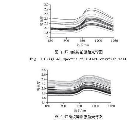 綠皮辣椒小紅龍品質(zhì)鑒定方法，綠皮辣椒小紅龍的品質(zhì)鑒定方法：綠皮辣椒小紅龍飼養(yǎng)技巧 觀賞魚市場（混養(yǎng)魚） 第2張