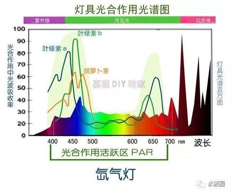 LED燈對(duì)水草生長(zhǎng)的作用機(jī)制，led燈對(duì)水草生長(zhǎng)的影響 觀賞魚(yú)市場(chǎng)（混養(yǎng)魚(yú)） 第4張