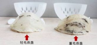 燕窩品牌選購技巧詳解，如何挑選燕窩？ 觀賞魚市場（混養(yǎng)魚） 第5張