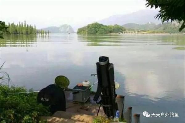 荷花塘垂釣最佳時機，夏季荷花塘垂釣的最佳時機