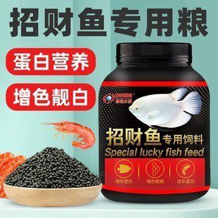 招財戰(zhàn)船魚最佳飼料配方，招財戰(zhàn)船魚的最佳飼料配方