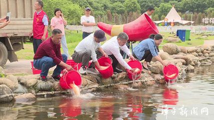 德國三色錦鯉的生活習(xí)性，德國三色錦鯉最佳飼養(yǎng)水溫,如何防治德國三色錦鯉常見病 觀賞魚市場（混養(yǎng)魚） 第4張