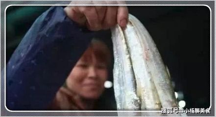 白子關(guān)刀魚繁殖期食物選擇，白子關(guān)刀魚繁殖期飼料搭配技巧 觀賞魚市場（混養(yǎng)魚） 第3張