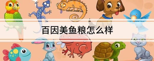 金龍魚2021年三季報，金龍魚2021年三季度營收同比增長13.7% 水族問答