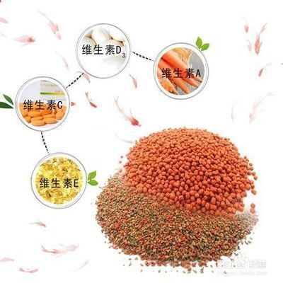 刀魚飼料成分對比分析，刀魚飼料成分對刀魚的影響 觀賞魚市場（混養(yǎng)魚） 第2張