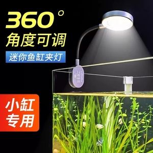 全光譜LED燈對(duì)水草的具體好處，全光譜led燈在水草養(yǎng)殖中具有顯著的好處 觀賞魚市場(chǎng)（混養(yǎng)魚） 第3張