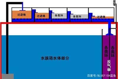 龍魚濾材擺放位置圖，龍魚濾材擺放位置圖是一份詳細(xì)的指導(dǎo)文檔