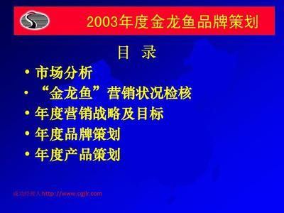 金龍魚營銷策略分析報告總結(jié)，金龍魚營銷策略分析