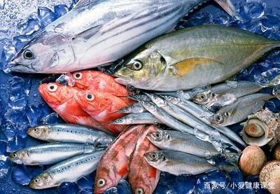 不同魚類的食物選擇指南，不同魚類的食物選擇指南，旨在為魚類養(yǎng)殖者和研究人員提供科學(xué)指導(dǎo)