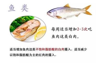 不同魚類的食物選擇指南，不同魚類的食物選擇指南，旨在為魚類養(yǎng)殖者和研究人員提供科學(xué)指導(dǎo)