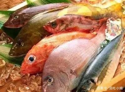 不同魚類的食物選擇指南，不同魚類的食物選擇指南，旨在為魚類養(yǎng)殖者和研究人員提供科學(xué)指導(dǎo) 觀賞魚市場（混養(yǎng)魚） 第5張