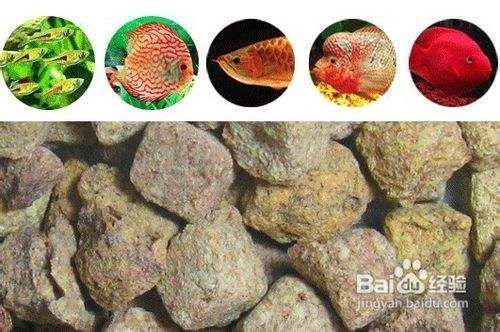 羅漢魚飼料成分對(duì)比，常見羅漢魚飼料品牌成分對(duì)比 觀賞魚市場(chǎng)（混養(yǎng)魚） 第2張