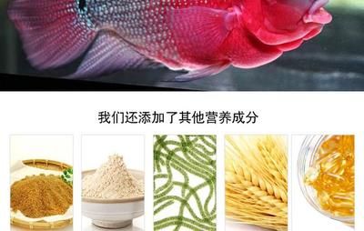 羅漢魚飼料成分對(duì)比，常見羅漢魚飼料品牌成分對(duì)比 觀賞魚市場(chǎng)（混養(yǎng)魚） 第3張