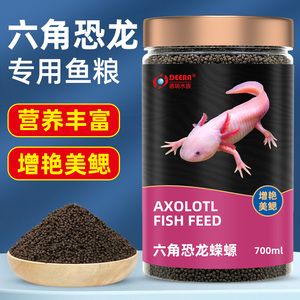 六角恐龍魚的飼料，六角恐龍魚的飼料配方 龍魚百科 第5張