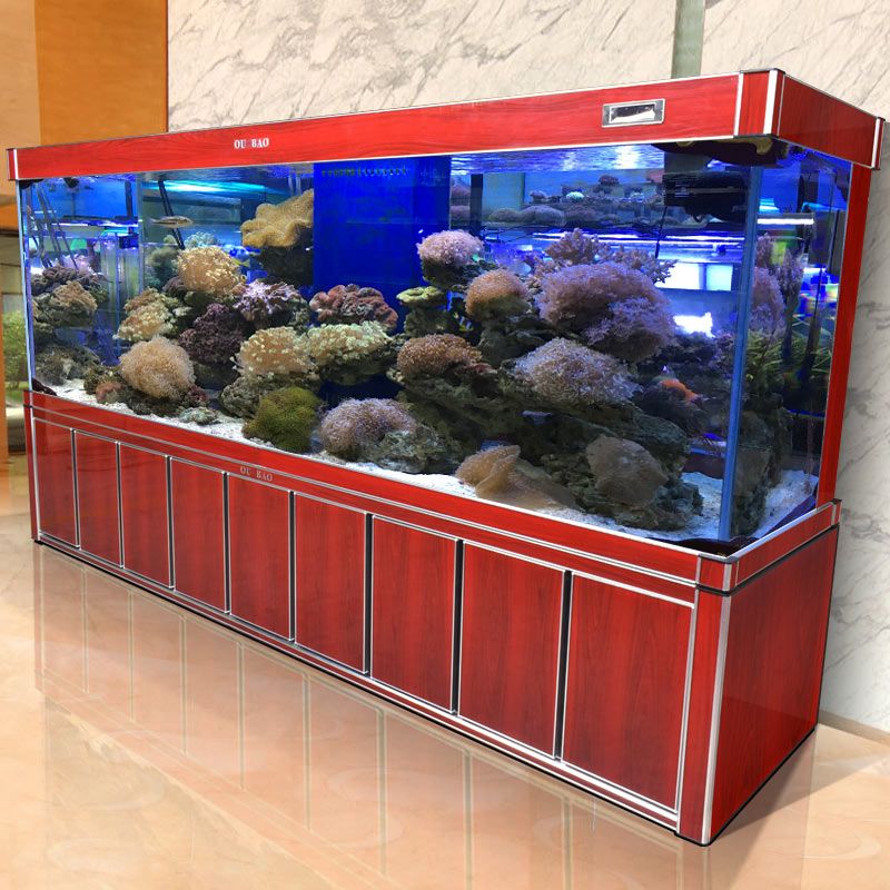 金龍魚適宜的水族箱布置，金龍魚水族箱布置方案 觀賞魚市場（混養(yǎng)魚） 第5張