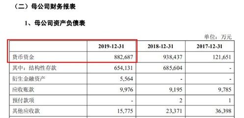 金龍魚資金，金龍魚資金使用情況及其對企業(yè)發(fā)展的影響及其對企業(yè)發(fā)展的影響