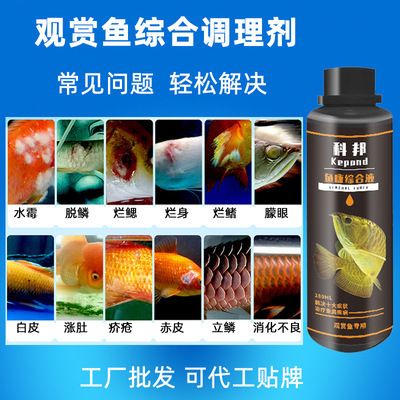 龍魚魚藥，關于龍魚的一些詳細信息