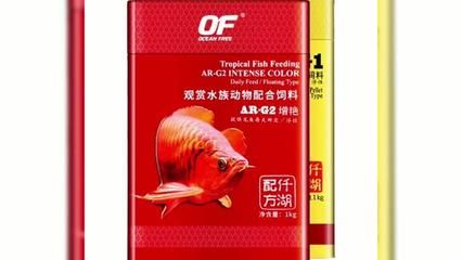 龍魚腸炎藥，龍魚腸炎的早期癥狀有哪些 龍魚百科 第4張