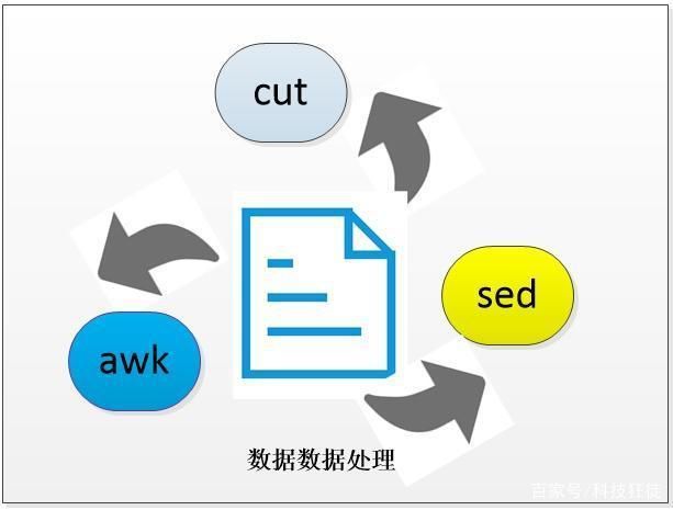 sed命令結(jié)合awk處理數(shù)據(jù)，sed與awk在大數(shù)據(jù)處理中的應(yīng)用 觀賞魚市場(chǎng)（混養(yǎng)魚） 第2張