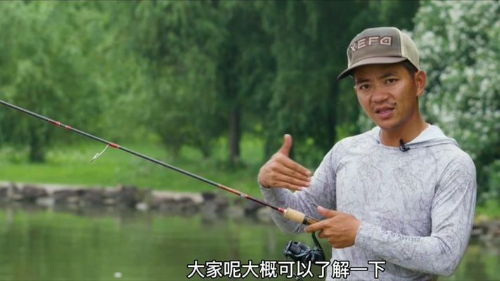 青龍魚桿D是代表什么意思啊，名倫青龍魚竿參數(shù)中通常代表直徑（diameter） 龍魚百科 第2張