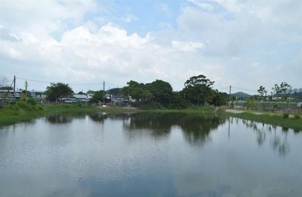 紅頭利魚(yú)水溫控制技巧，紅頭利魚(yú)水溫控制技巧介紹 觀(guān)賞魚(yú)市場(chǎng)（混養(yǎng)魚(yú)） 第5張