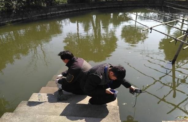 紅頭利魚(yú)水溫控制技巧，紅頭利魚(yú)水溫控制技巧介紹 觀(guān)賞魚(yú)市場(chǎng)（混養(yǎng)魚(yú)） 第4張