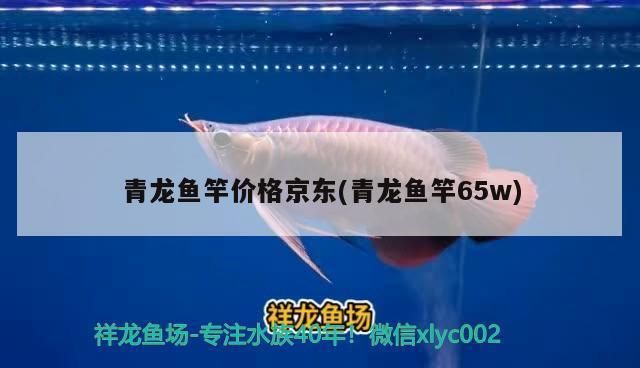 青龍魚竿多少錢一米合適，青龍魚竿價(jià)格在10元至50元至50元人民幣之間 龍魚百科 第1張