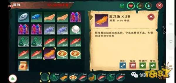 金龍魚在哪釣？，金龍魚自然水域釣魚技巧 龍魚百科 第4張