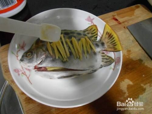 非洲金鼓魚食譜推薦（非洲金鼓魚的家常做法每次做家人都搶著吃） 觀賞魚市場（混養(yǎng)魚） 第4張