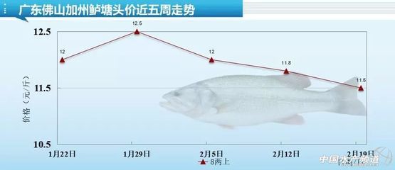 檸檬鯽飼料配比建議（檸檬鯽飼料成本控制技巧） 觀賞魚(yú)市場(chǎng)（混養(yǎng)魚(yú)） 第3張