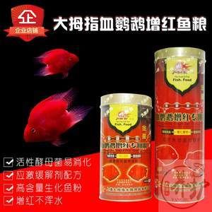 財神鸚鵡魚冬季飼料選擇（財神鸚鵡魚冬季飼料品牌推薦） 觀賞魚市場（混養(yǎng)魚） 第5張