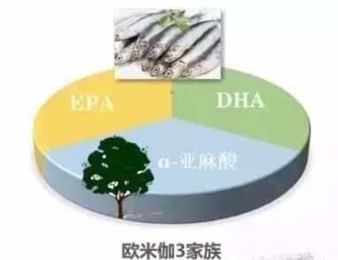 肺魚歐米伽3脂肪酸的保健功效（歐米伽3脂肪酸：肺部健康的關(guān)鍵，一項(xiàng)研究顯示，） 觀賞魚市場(chǎng)（混養(yǎng)魚） 第4張