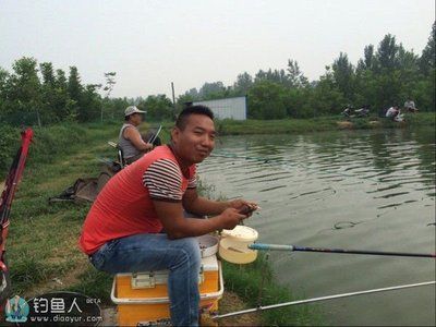 釣魚專家在線咨詢平臺（尋找釣魚專家在線咨詢平臺） 觀賞魚市場（混養(yǎng)魚） 第2張