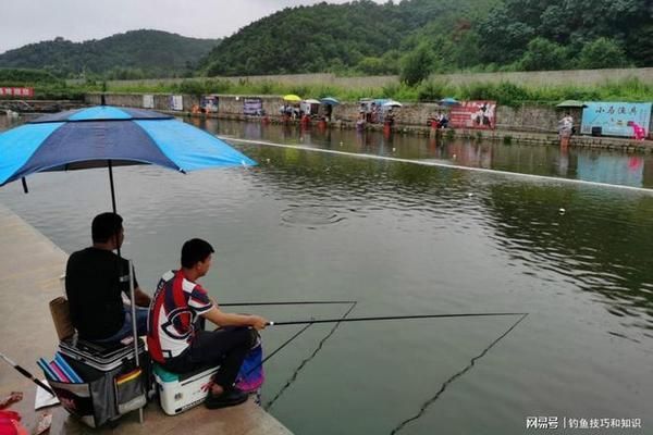 金龍魚活餌與冷凍餌區(qū)別（如何判斷金龍魚喜歡哪種餌料） 觀賞魚市場（混養(yǎng)魚） 第4張