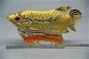 龍魚哪里買便宜又好（海口新埠島碼頭龍魚購買攻略?？谛虏簫u碼頭龍魚） 龍魚百科 第4張