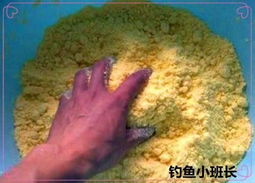 三間鼠和龍魚混養(yǎng)視頻（三間鼠和龍魚混養(yǎng)時(shí)，它們會(huì)有什么互動(dòng)行為，它們會(huì)有什么互動(dòng)） 水族問答