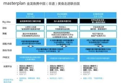 金龍魚營銷案例分析ppt（金龍魚品牌營銷案例分析）