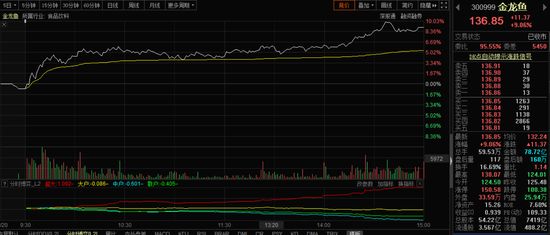 美國金龍魚指數(shù)最新行情走勢（金龍魚股東戶數(shù)為12.79萬人均流通4241股） 龍魚百科 第4張