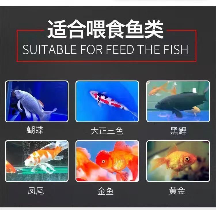 三色錦鯉魚飼料選擇指南（三色錦鯉飼料品牌推薦，錦鯉飼料營(yíng)養(yǎng)成分對(duì)比表） 觀賞魚市場(chǎng)（混養(yǎng)魚） 第1張