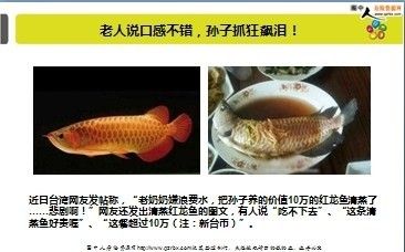 龍魚口感怎樣形容好（龍魚與鯰魚口感區(qū)別，如何挑選新鮮龍魚，龍魚營養(yǎng)價(jià)值介紹） 龍魚百科 第4張