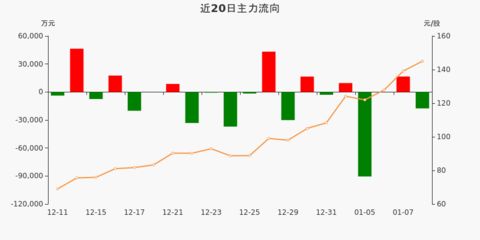 金龍魚歷史資金流向（金龍魚財務報表分析股東持股變化主要股東持股變化） 龍魚百科 第4張